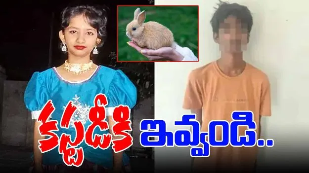 Kukatpally Girl Case: మైనర్ బాలిక హత్య కేసులో నిందితుడిని కస్టడీకి కోరుతూ పిటిషన్..