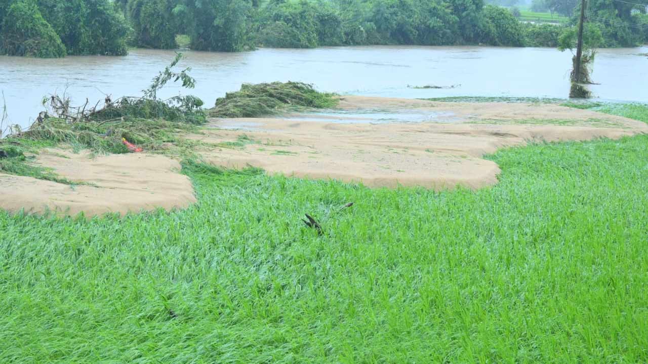 Telangana Floods: భారీ వరదలు.. ప్రమాదకరంగా పోచారం డ్యామ్..