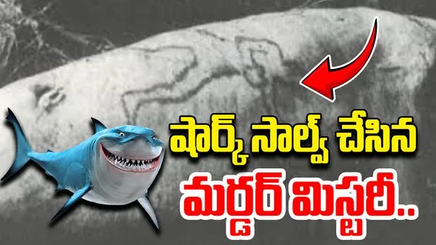 Shark Vomits Human Arm: మనిషి చెయ్యిని బయటకు కక్కిన షార్క్.. మర్డర్ మిస్టరీ సాల్వ్..