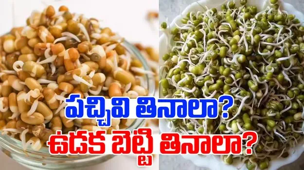 Steamed vs Raw Sprouts: మొలకెత్తిన గింజల్ని పచ్చిగా తింటే మేలా? ఉడక బెట్టి తింటే మేలా?