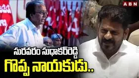 CM Revanth Reddy: పాలమూరు జిల్లా బిడ్డ.. జాతీయ నేతగా ఎదగడం గర్వకారణం