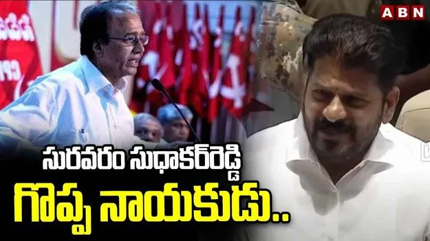 CM Revanth Reddy: పాలమూరు జిల్లా బిడ్డ.. జాతీయ నేతగా ఎదగడం గర్వకారణం