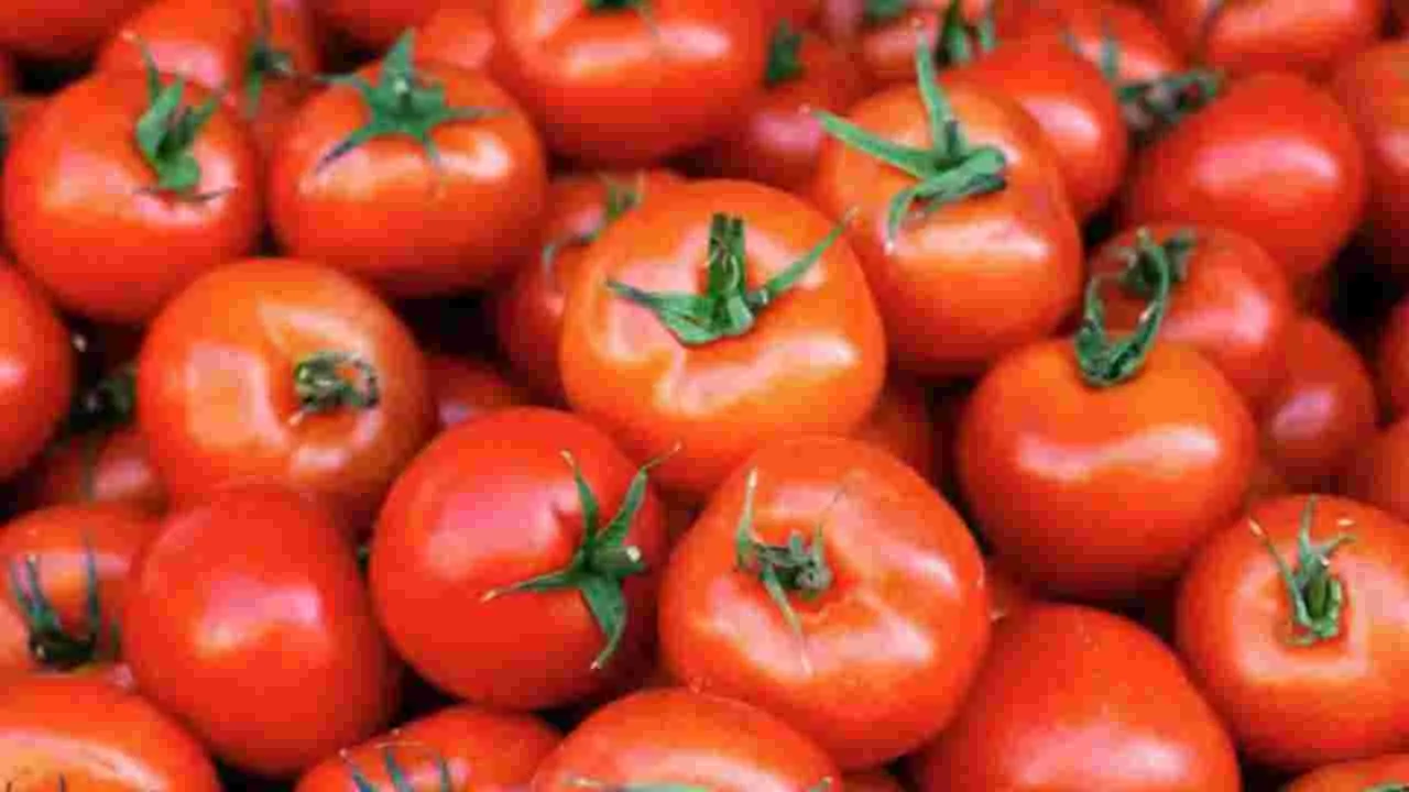 Tomato Storage Tips: ఫ్రిజ్ లేకపోయినా టమోటాలు ఎక్కువ రోజులు నిల్వ ఉంచే మేజిక్ ట్రిక్ ఇదే!