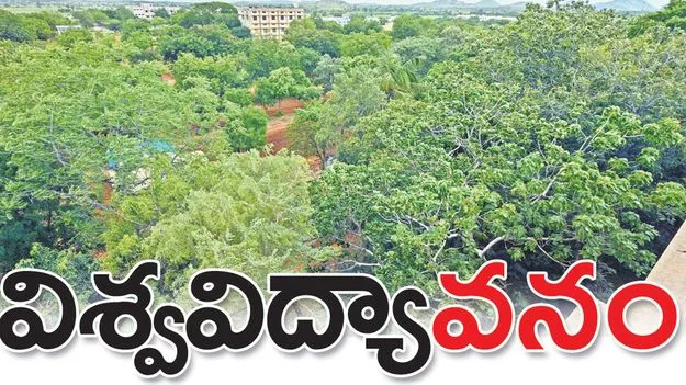  Sri Krishnadevaraya University: విశ్వవిద్యా వనం
