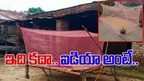 Woman Jugaad Video: దోమతెరను ఇలాక్కూడా వాడొచ్చని ఇప్పుడే తెలిసింది.. పెద్ద సమస్యే తప్పిందిగా.. 