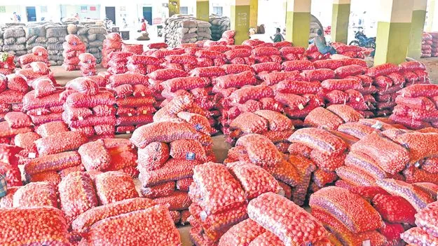 Onion Farmers Face Heavy Losses: ఉల్లి రైతు కన్నీరు