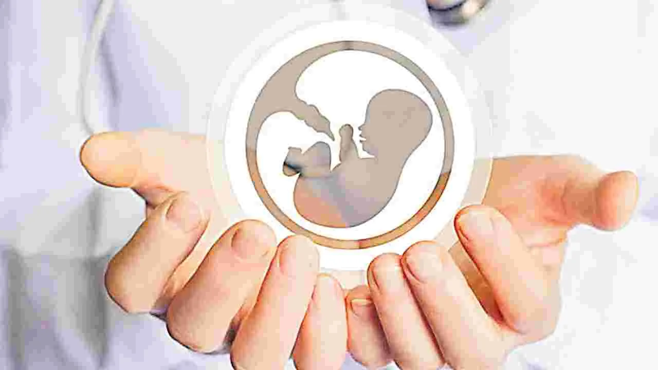 Egg Donation Crisis: అండాల కోసం ఆందోళన