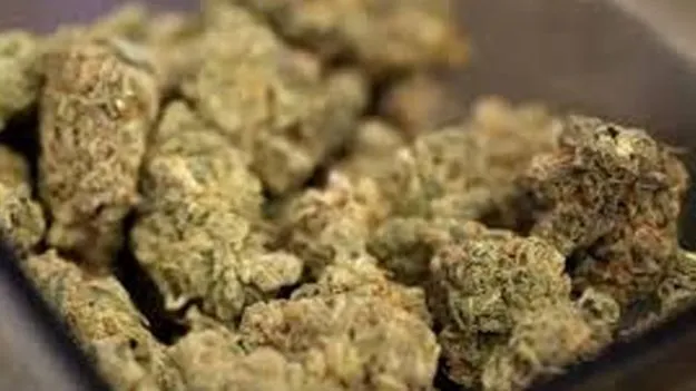 Dry Cannabis Seized: రీ మోడలింగ్‌ కార్ల మ్యాట్‌, సీట్ల కింద 122.85 కిలోల ఎండు గంజాయి స్మగ్లింగ్‌