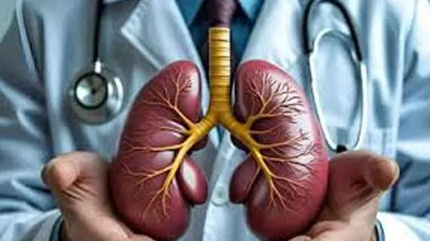 Human Kidney Functions: ల్యాబ్‌లో తయారైన మానవ కిడ్నీ