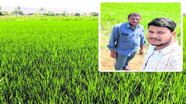 పంటల సాగుపై డిజిటల్‌ సర్వే