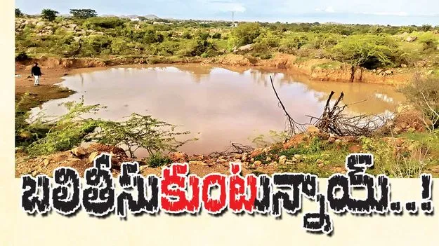 బలితీసుకుంటున్నాయ్‌..!