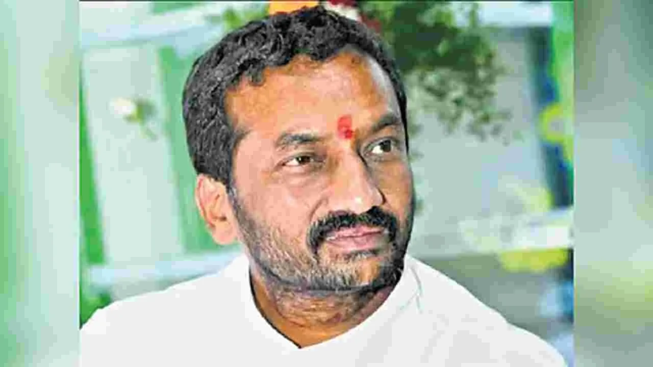 MP Raghunandan Rao: తప్పుడు వార్తలు రాయవద్దు..