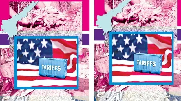 Andhra Pradeshs Aqua Industry in Crisis: అయోమయంలో ఆంధ్రప్రదేశ్ ఆక్వా  