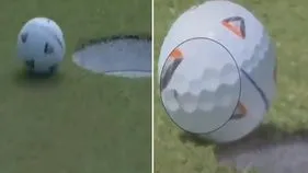 Fly helped a golfer: ఇది రాజమౌళి ఈగ కంటే పవర్‌ఫుల్.. ఓ గోల్ఫర్‌కు రూ.8 కోట్లు సంపాదించిపెట్టింది.. 