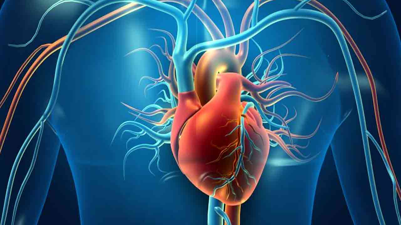 Health Tips: ఈ 3 పనులు చేస్తే.. వందేళ్ల ఆయుష్యు మీ సొంతమైనట్లే.. 