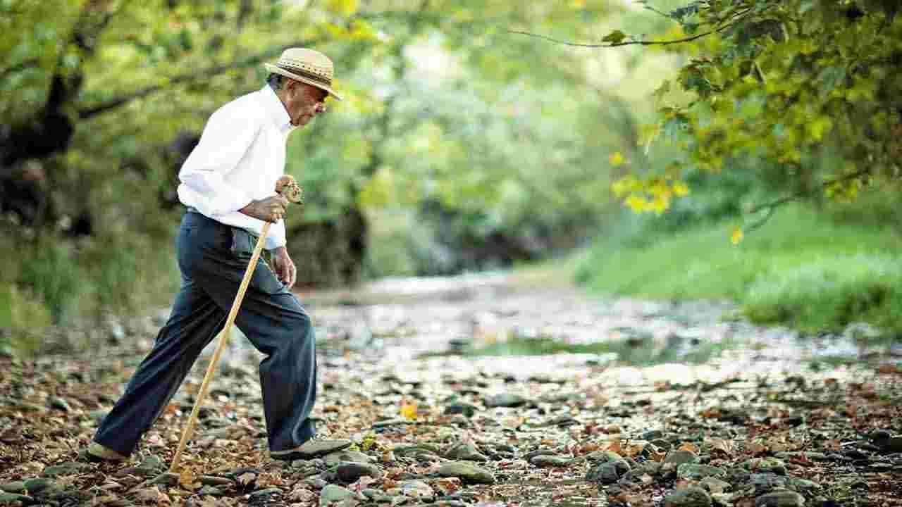 Health Tips: ఈ 3 పనులు చేస్తే.. వందేళ్ల ఆయుష్యు మీ సొంతమైనట్లే.. 