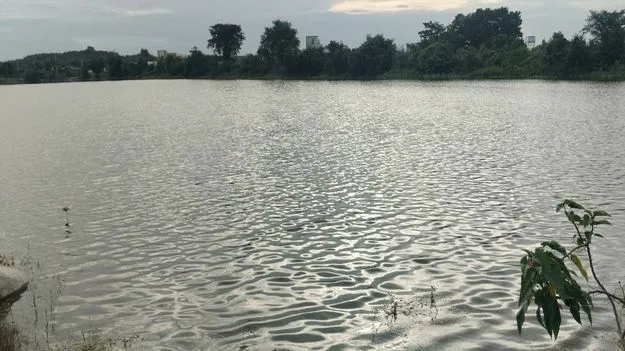 jagityala :  చెరువులకు జలసిరి