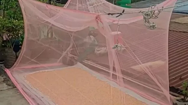 Viral Indian jugaad: భారతీయులు మాత్రమే ఇలా ఆలోచించగలరు.. ఈ తెలివి చూస్తే నవ్వుకోవాల్సిందే.. 