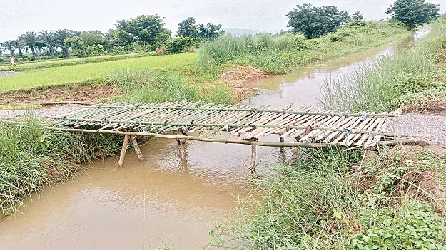  Built a Bridge of Sticks! చేయి చేయి కలిపారు.. కర్రల వంతెన నిర్మించారు!