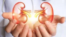 Kidney Damage: కిడ్నీ సమస్యలు ఉన్న వాళ్లల్లో రాత్రిళ్లు మాత్రమే కనిపించే సమస్యలు ఇవీ