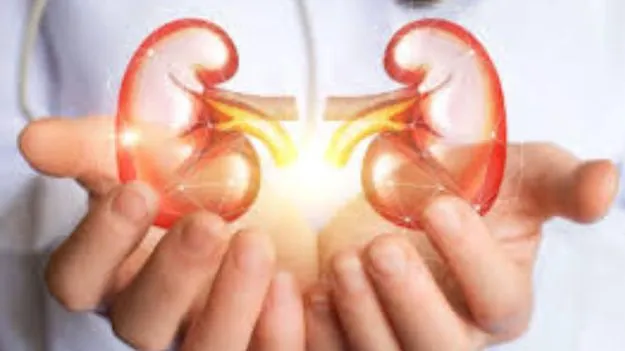 Kidney Damage: కిడ్నీ సమస్యలు ఉన్న వాళ్లల్లో రాత్రిళ్లు మాత్రమే కనిపించే సమస్యలు ఇవీ