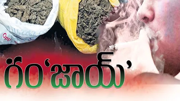 గం‘జాయ్‌’