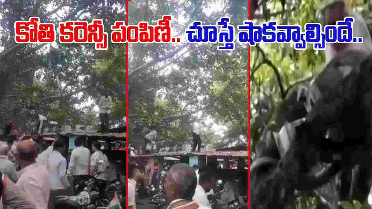 Monkey Steals Currency: కరెన్సీ కట్టలతో చెట్టెక్కిన కోతి.. కింద గుమికూడిన జనం.. చివరికి.. 
