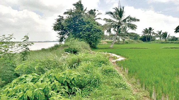 floods in vamsadhara కరకట్టలు నిర్మించేదెప్పుడు?