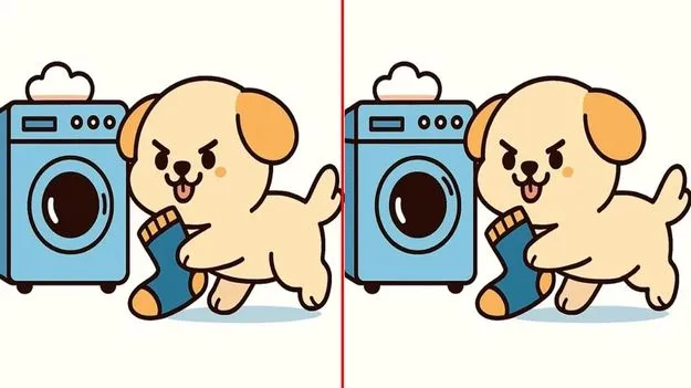 Picture Puzzle: మీ కళ్లకు టెస్ట్.. ఈ ఫొటోల మధ్యలో మూడు తేడాలను 25 సెకెన్లలో కనిపెట్టండి