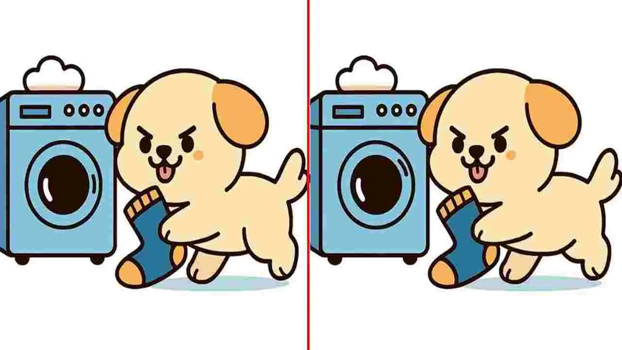 Picture Puzzle: మీ కళ్లకు టెస్ట్.. ఈ ఫొటోల మధ్యలో మూడు తేడాలను 25 సెకెన్లలో కనిపెట్టండి