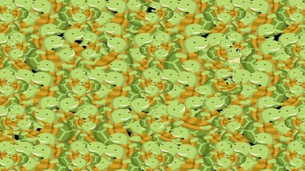 Optical Illusion Test: మీ కళ్లు షార్ప్ అయితే.. తాబేళ్ల మధ్యనున్న కప్పను 10 సెకెన్లలో కనిపెట్టండి..