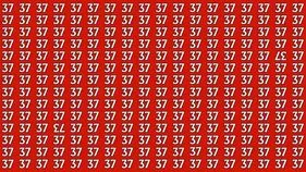Optical Illusion Test: మీ చూపు చురుకైనది అయితే.. ఈ 37ల మధ్యలో భిన్నమైన వాటిని 10 సెకెన్లలో కనిపెట్టండి..