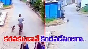 Bike Accident Video: కుక్క పిల్లే కదా అనుకుంటే ఎంత పని చేసింది.. బైకర్‌కు ఏమైందో చూడండి.. 