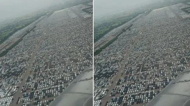 Shocking Video: మీ కళ్లను మీరే నమ్మలేరు.. మారుతీ సుజుకీ స్టాక్ యార్డ్‌ను చూశారా? వీడియో వైరల్..