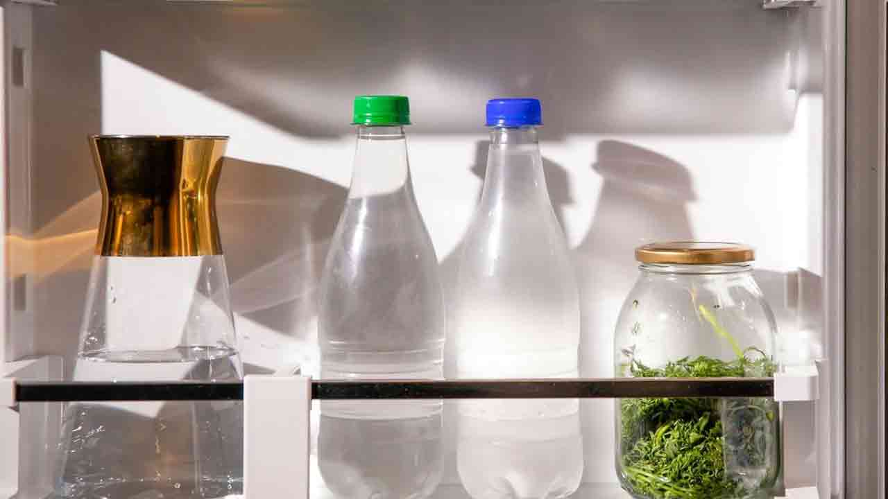 Kitchen Hacks: పొరపాటున కూడా ఈ 5 వస్తువులను ఫ్రిడ్జ్‌‌ డోర్‌లో పెట్టొద్దు.. 