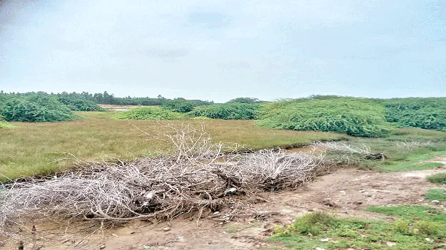        పోర్టు భూముల ఆక్రమణ