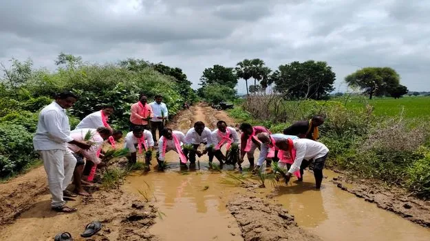 నాట్లు వేసి  నిరసన 