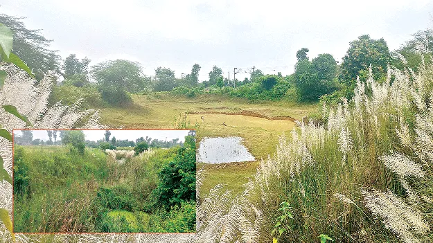 The pond is like that.. the canal is like this. చెరువు అలా.. కాలువ ఇలా