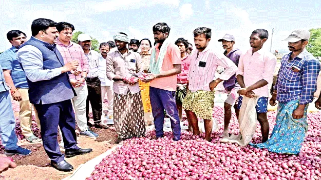 ఆందోళన వద్దు.. ఉల్లిని కోనుగోలు చేస్తాం