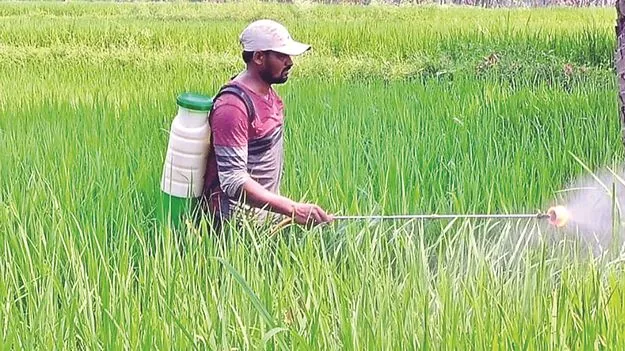 పురుగుల మందుతో జాగ్రత్త