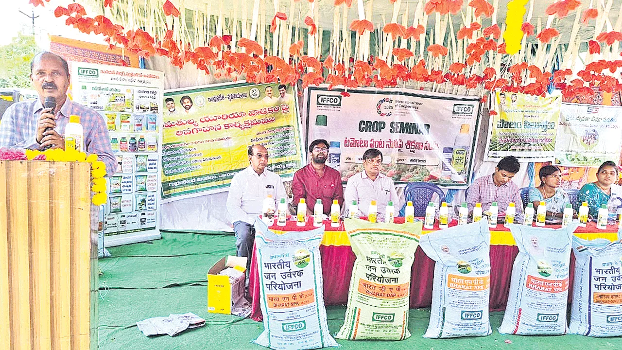 సేంద్రియ ఎరువులు వాడాలి