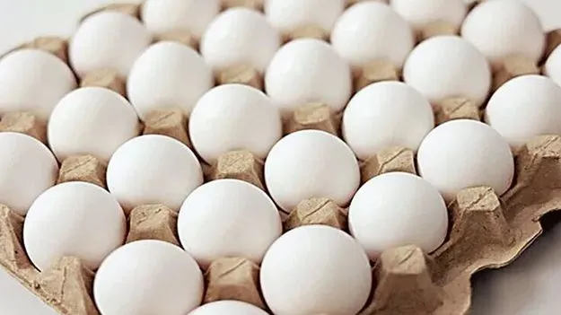 Egg Supply: వాళ్లు ఆపేశారు.. వీళ్లు మొదలు పెట్టలేదు!