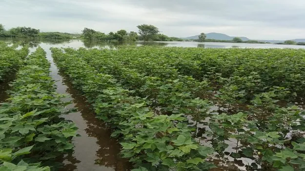 పోటెత్తిన వరద 