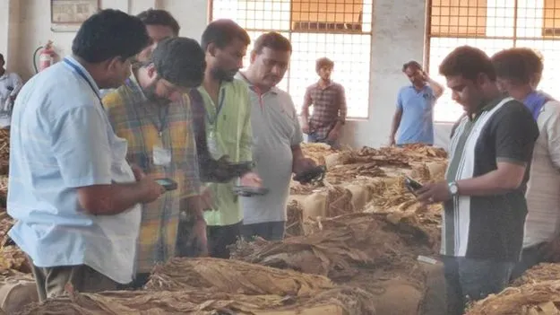 పొగాకు అ‘ధర’హో