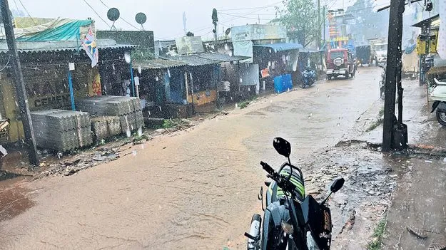 మన్యంలో ముసురు