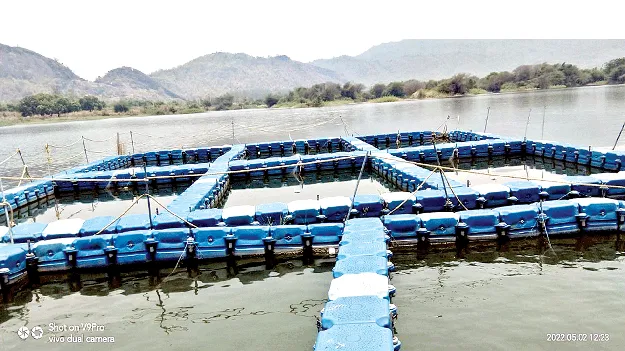 నిరుపయోగంగా కేజ్‌ కల్చర్‌