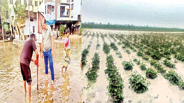 వర్షం.. ఎంతో నష్టం