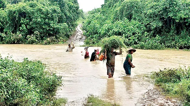 గెడ్డ దాటుతూ... ముందుకు ‘సాగు’తూ..