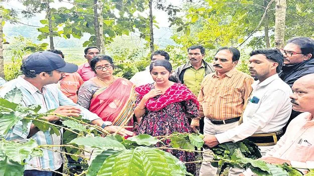 బెర్రీ బోరర్‌ నియంత్రణకు పక్కా ప్రణాళిక