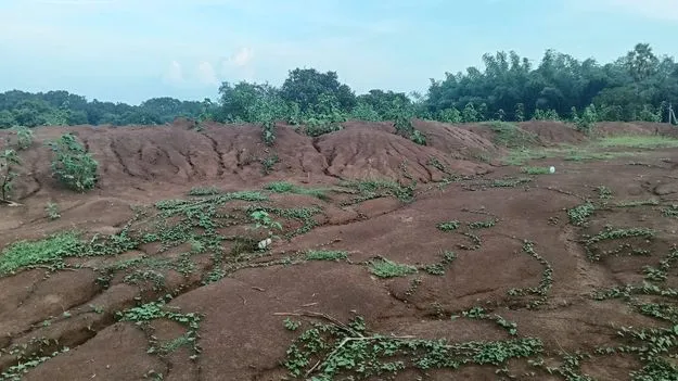 ఆగని మట్టి దందా